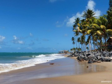 Terreno - Venda - Aver o Mar - Sirinham - PE